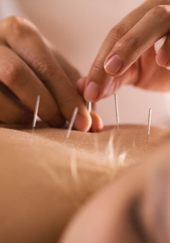 300x300_shutterstock_772072012_(1)