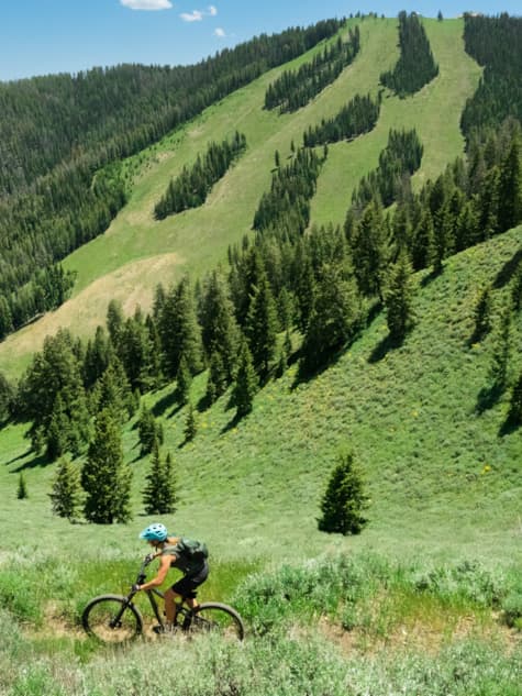carousel-summer-biking