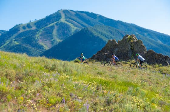 idarado_summer_familywhiteclouds_july2019_7