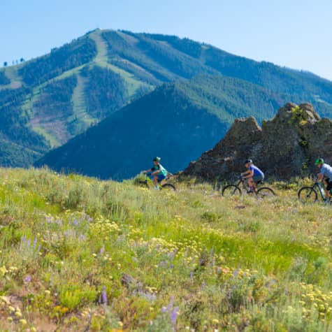 idarado_summer_familywhiteclouds_july2019_7