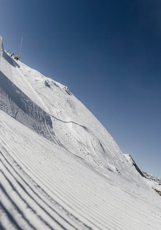 natesheehan_dollar2023-441-tal-roberts