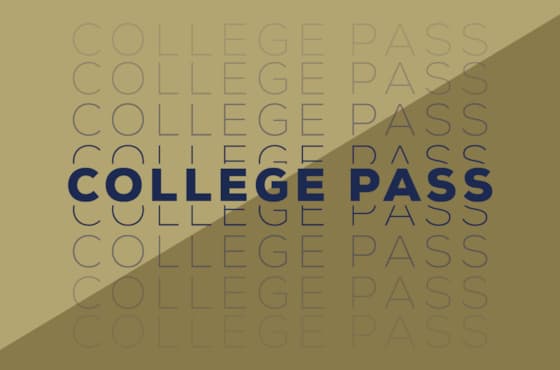 sv_pas_level_icons_v2-06