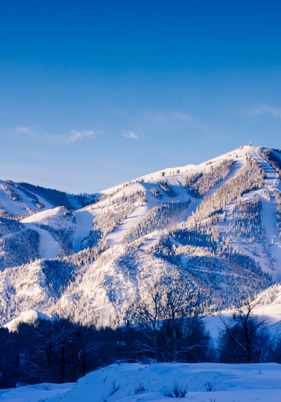 svr_baldmountain_scenic_winter_2019_gadd_ray_1-(1)
