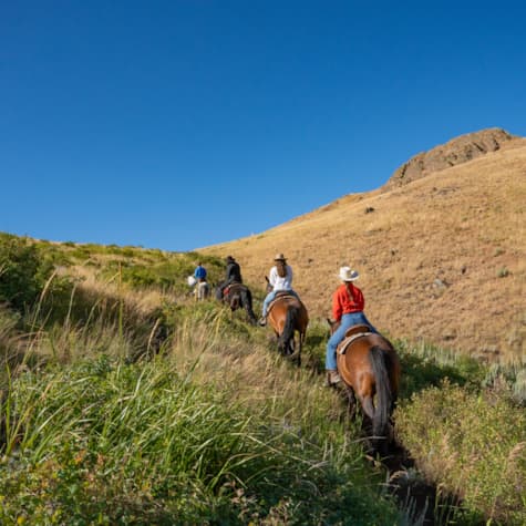 svr_dollar_horsebackriding