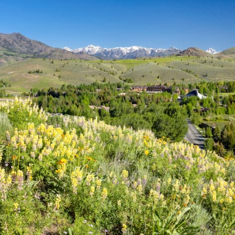 svr_hike_trail_ride_scenic_spring_2019_dondero_steve_2