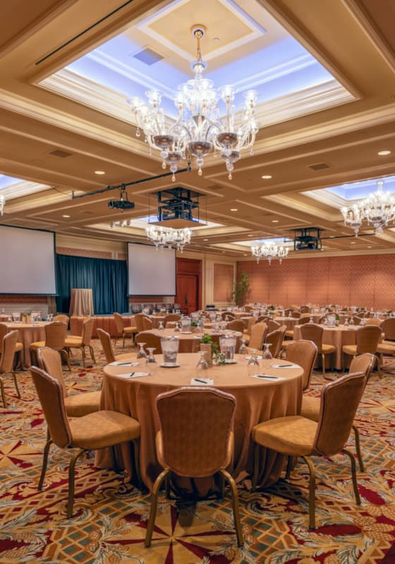 svr_inn_limelightb_summer_2023_morton_cooper_5-(1)