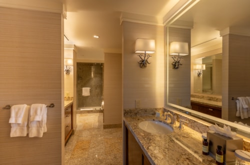 svr_lodge_interiors_lodge-room-bathroom_01-14-25_6.jpg
