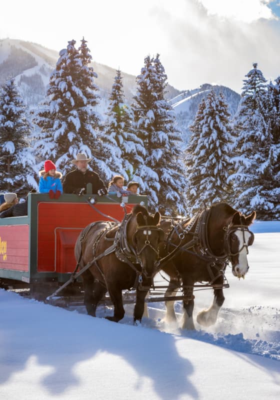 svr_village_sleighride_winter_2019_3