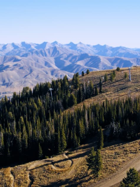 SVR_Whitebark-Pine_Documentary_Green-Initiative_2025_Thumb_2