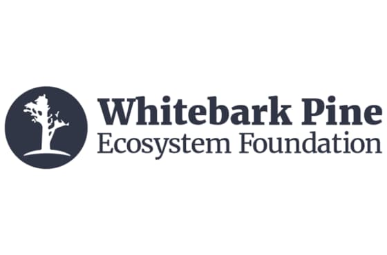 whitebark-pine-logo