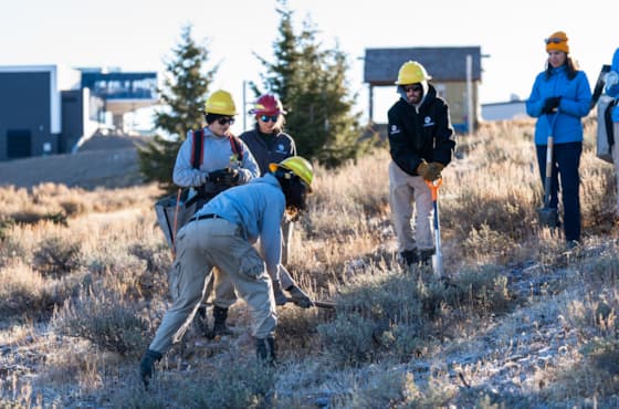 whitebarkpine-tree-planting-project-(6-of-9)